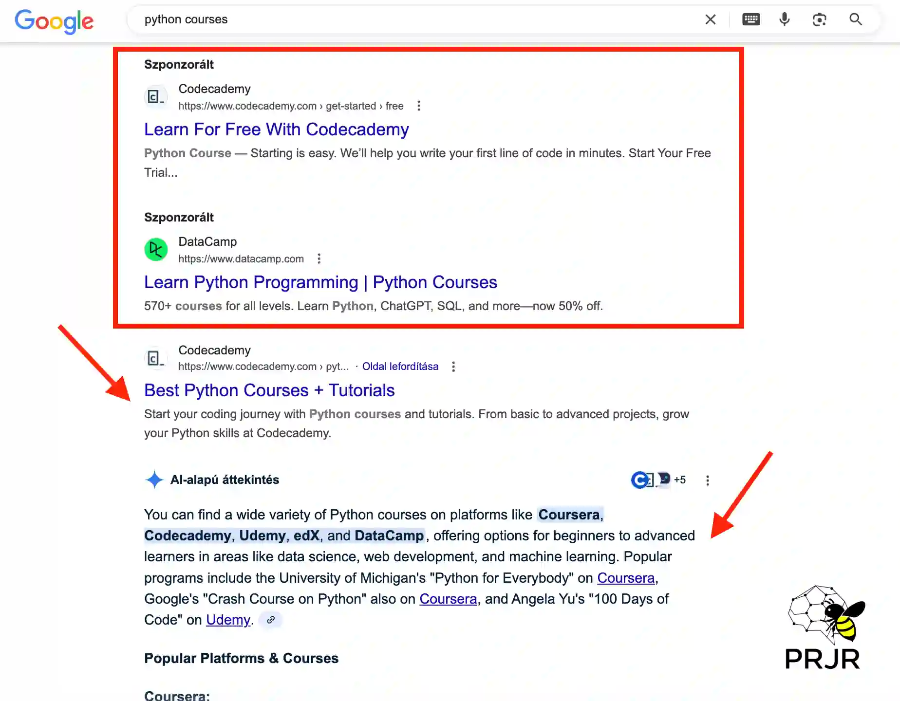 Képernyőkép a Google találati listájáról (SERP), ahol fizetett Google Ads, Organikus és AI Overview alapú találatok is megjelenhetnek. Ezek között kell a keresőmarketing segítségével is megjelennünk.